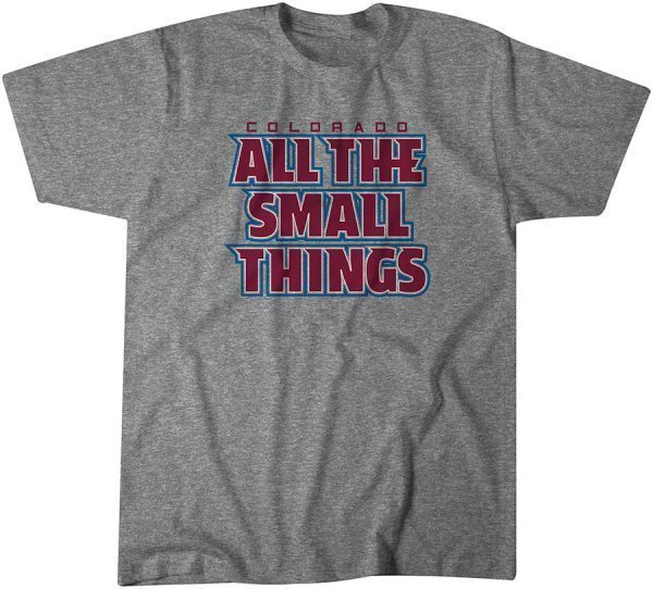 All the Small Things Classic Shirt