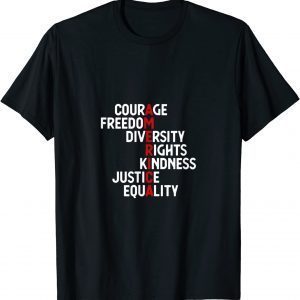 America Courage Freedom Diversity Rights Kindness Justice Equality 2022 Shirt