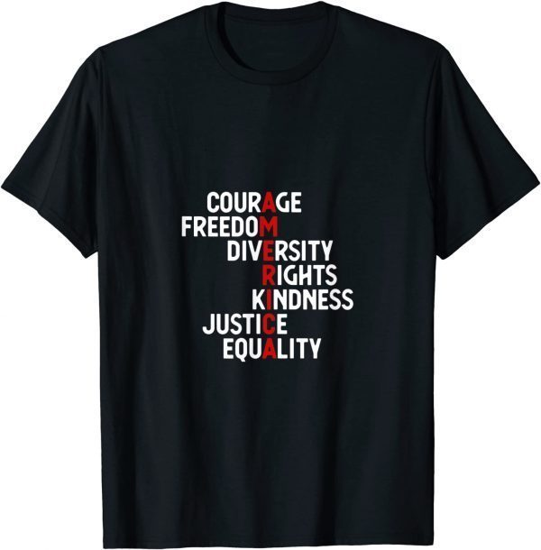 America Courage Freedom Diversity Rights Kindness Justice Equality 2022 Shirt