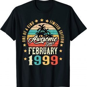 Awesome Since February 1999 Vintage 23rd Birthday Gift Shirt