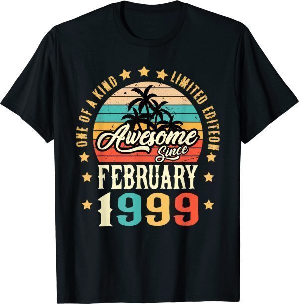 Awesome Since February 1999 Vintage 23rd Birthday Gift Shirt