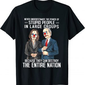 Biden Clown Because They Can Destroy The Entire Nation Classic Shirt