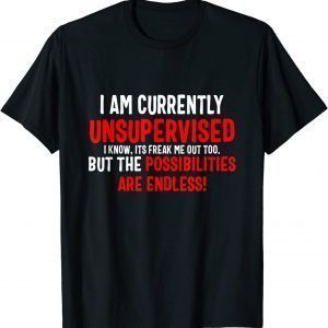 I Am Currently Unsupervised Valentines Day 2022 Shirt