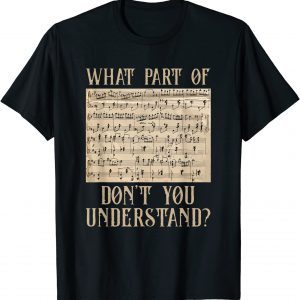 What Part Of The Music Notes You Don't Understand Musician 2022 Shirt