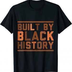 Black History BHM African Pride Month Classic Shirt