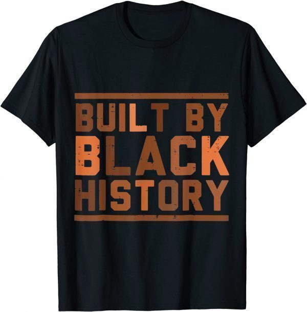 Black History BHM African Pride Month Classic Shirt