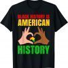 Black History Is American History Black Pride Classic Shirt