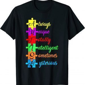 Autism Acronym And Puzzle Piece Fun Autism Awareness Classic Shirt