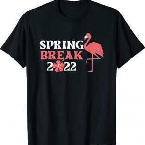 Cool Spring Break 2022 Florida Flamingo Family matching Classic Shirt
