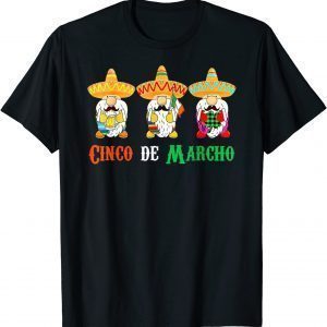 Cute Cinco De Marcho Cinco De Mayo Mexican Irish T-Shirt