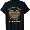 Defunct Series Birmingham Stallions Classic Shirt