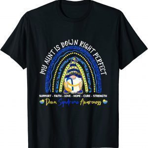 Gnome Rainbow Aunt Is Down Right Perfect T21 2022 Shirt