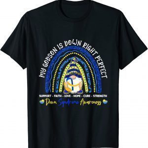 Gnome Rainbow Godson Is Down Right Perfect T21 Classic Shirt