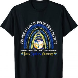 Gnome Rainbow Son In Law Is Down Right Perfect T21 T-Shirt