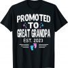 Promoted To Great Grandpa 2023 - To Be Pregnancy Reveal 2023 Classic Shirt