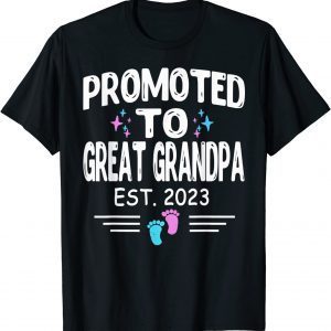 Promoted To Great Grandpa 2023 - To Be Pregnancy Reveal 2023 Classic Shirt