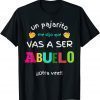 Vas a ser Abuelo Otra Vez Sorpresa Anuncio Embarazo Abuelos 2022 Shirt