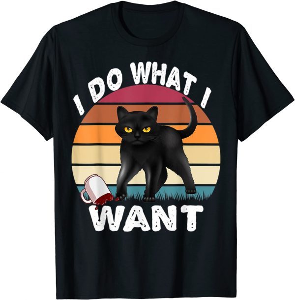 Vintage I Do What I Want Cute Cat 2022 T-Shirt