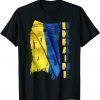 Vintage Ukraine Ukrainian Flag Pride, Supporting Ukraine Peace Ukraine T-Shirt