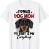 Dachshund Proud Dog Mom Ever My Baby is My Everything 2022 Shirt
