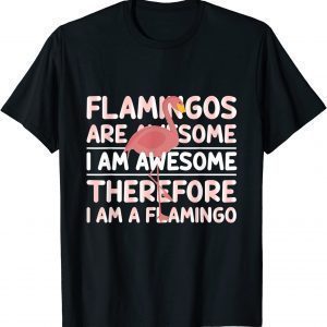Flamingos Are Awesome I Am Awesome Therefore I Am a Flamingo T-Shirt