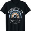 I Have Two Titles Mom And Stepmom Mothers Day Rainbow 2022 Shirt