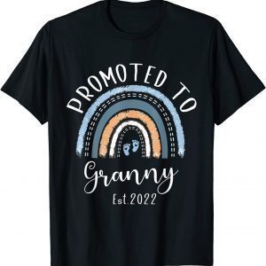 I Have Two Titles Mom And Stepmom Mothers Day Rainbow 2022 Shirt