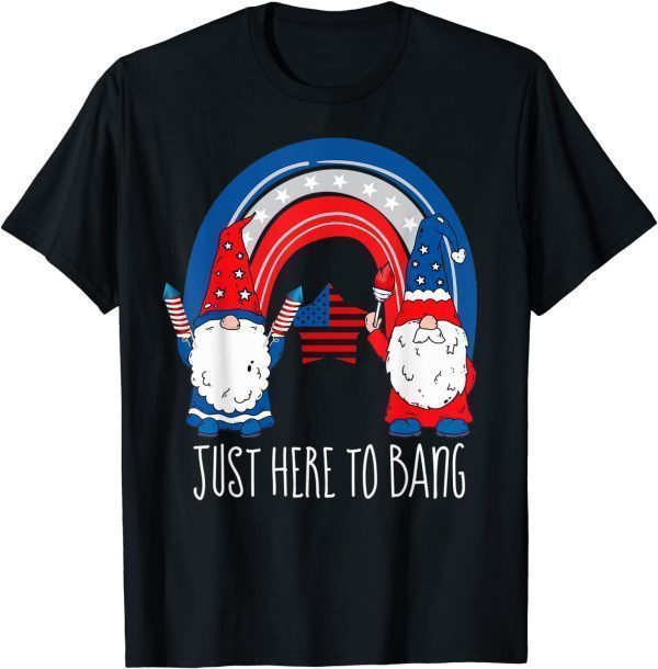 4th July Fireworks Just Here To Bang rainbow Gnome T-Shirt