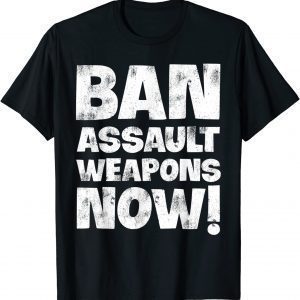 Ban Assault Weapons Now T-Shirt