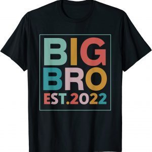 Big Bro Est. 2022 Promoted to Brother 2022 Father's Day Limited Shirt