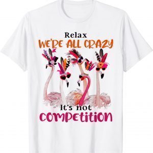 Flamingo We Are All Crazy It's Not Competition 2022 Shirt
