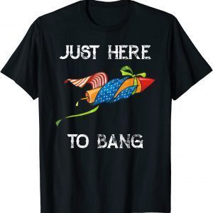 July 4th of July I'm Just Here To Bang American Flag 2022 Shirt