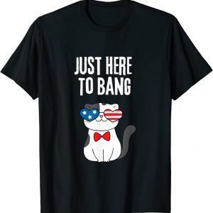 Just Here To Bang Cute patriotic Cat 4th Of July 2022 T-Shirt