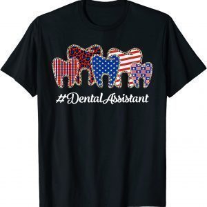 Leopard Plaid Tooth Teeth Dental Assistant 4th Of July 2022 Shirt