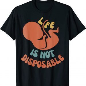 Unborn Lives Matter Choose Life Pro Life Anti Abortion T-Shirt