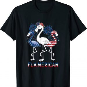 4th of July US Flag Patriotic Flamingo Flamerica T-Shirt