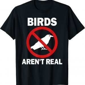 Birds Aren't Real Conspiracy Theory No Birds Aren't Real 2022 Shirt