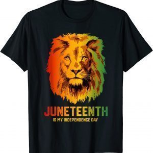 Black King Lion Father Day Juneteenth Is My Independence Day T-Shirt