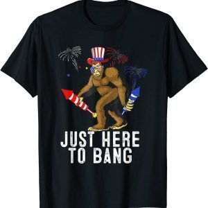 Fourth Of July 4th Of July I'm Just Here To Bang 2022 Shirt