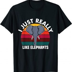 Vintage 1976 Limited Edition 45th Birthday 45 Years Old Tee Shirt
