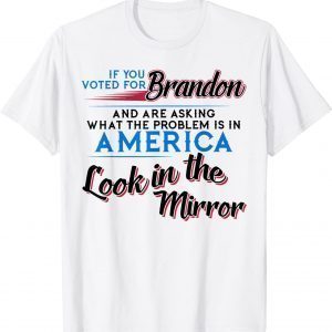 If U Voted for Biden & Are Asking What-The Problem is 2022 Shirt
