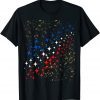 Patriotic Stars With Gold Dust … Celebrate! T-Shirt