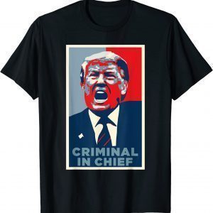 Trump Is A Criminal, Anti Trump Impeach the President 2022 Shirt