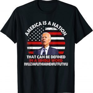 America Is A Nation That Can Be Defined In Single 2022 Shirt