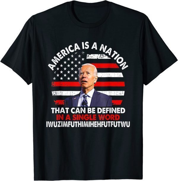 America Is A Nation That Can Be Defined In Single 2022 Shirt
