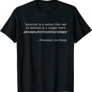 America Is A Nation That Can Be Defined In Single Word Biden 2022 Shirt