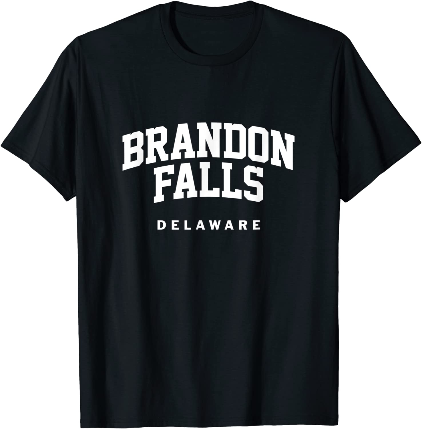 Brandon Falls Delaware Biden Bike CrasBrandon Falls Delaware Biden Bike Crash Classic Shirth Classic Shirt