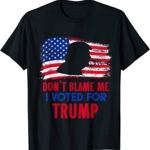 Don't Blame Me I Voted For Trump Vintage USA Flag 2022 Shirt