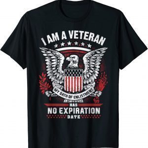 I'm A USA Veteran My Oath Of Enlistment 2022 Shirt