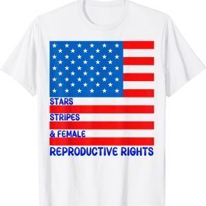 Stars Stripes & Equal Rights 4th Of July Independence 2022 Shirt